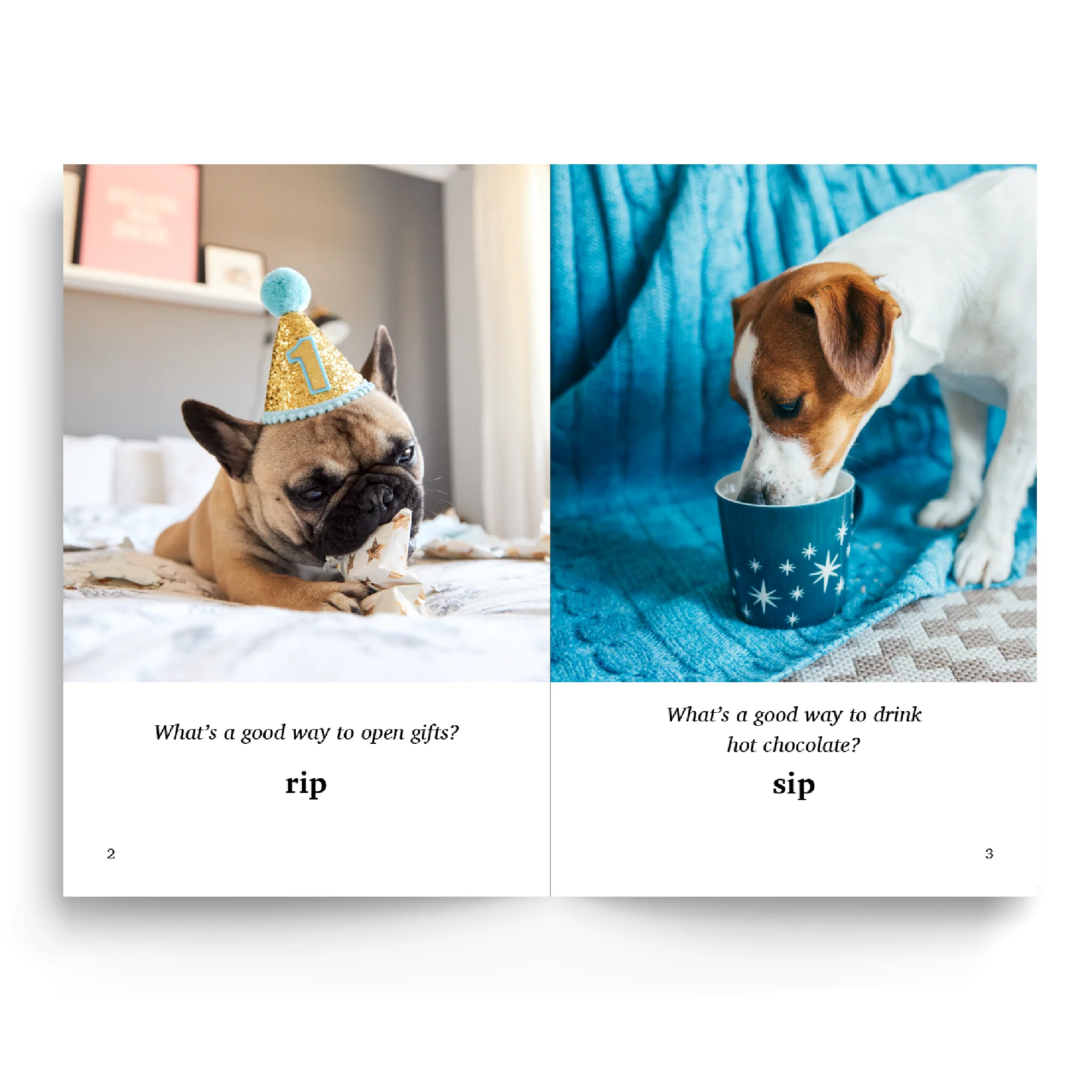 Foundations A & Core Materials Bundle - Image 12